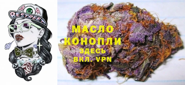 2c-b Гусев