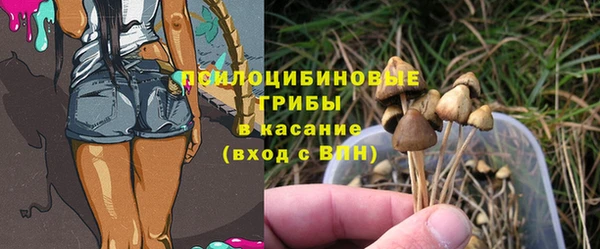 2c-b Гусев