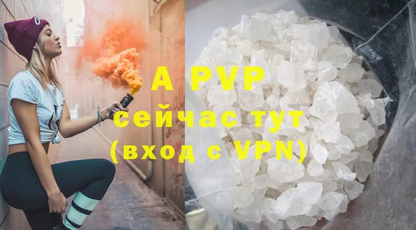 2c-b Гусев
