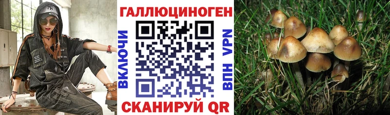 Купить где  Новодвинск  Галлюциногенные грибы мицелий 