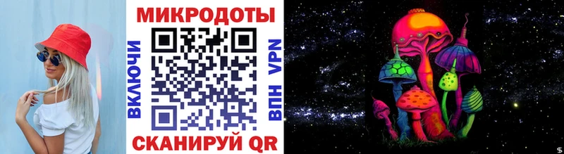 Галлюциногенные грибы Psilocybine cubensis Новодвинск