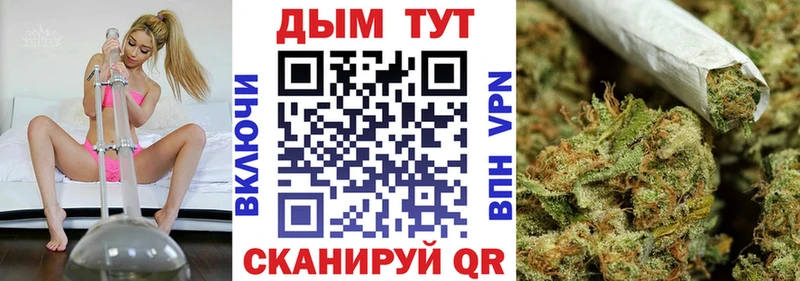 Купить где  Новодвинск  Конопля тримм 